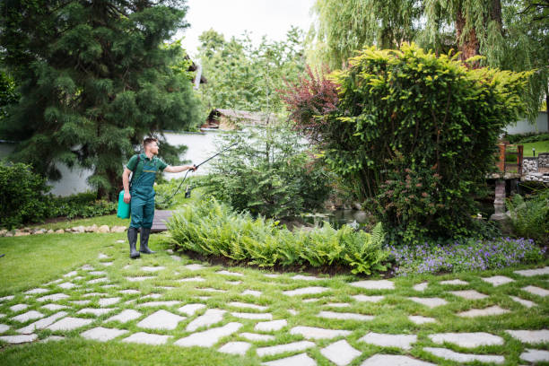 Best Ant Control Services  in West Haven Sylvan, OR